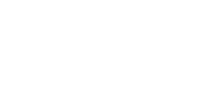 Um post por dia